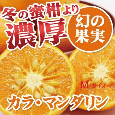 石本果樹園の美味しいカラ・マンダリン 約3kg【4月中旬～5月中旬発送】【min007A】