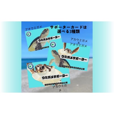 紀宝町ウミガメ公園 ウミガメサポーター(1年間)【rkr016】