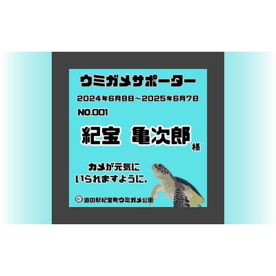 紀宝町ウミガメ公園 ウミガメサポーター(1年間)【rkr016】