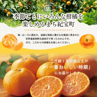 旬の柑橘 詰め合わせ セット 石本果樹園 店主おすすめの柑橘セットをお届け【min011】