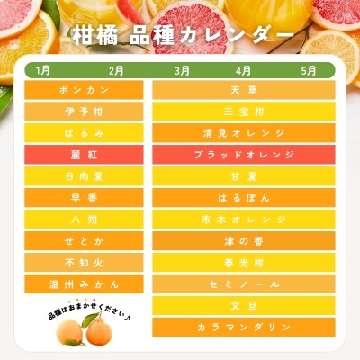 旬の柑橘 詰め合わせ セット 石本果樹園 店主おすすめの柑橘セットをお届け【min011】