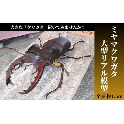 ミヤマクワガタ大型リアル模型(透明ケース付)