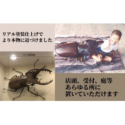 ミヤマクワガタ大型リアル模型(透明ケース付)