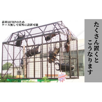 ミヤマクワガタ大型リアル模型(透明ケース付)