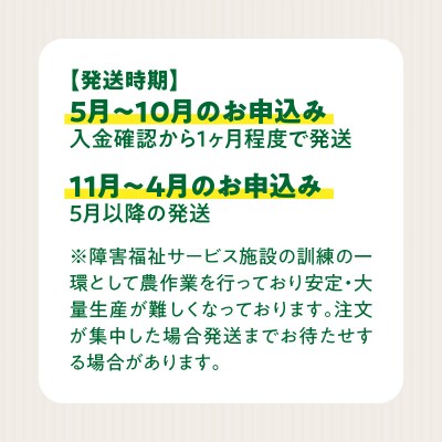 ネオコスモ農園で採れた小牧の野菜詰め合わせ[124N01]