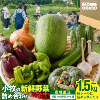 ★障がい者支援施設応援品★ ネオコスモ農園で採れた小牧の野菜詰め合わせ [124N02]