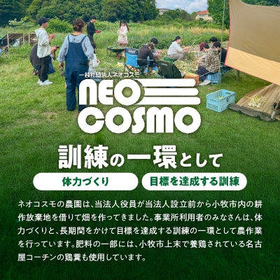 ★障がい者支援施設応援品★ ネオコスモ農園で採れた小牧の野菜詰め合わせ [124N02]
