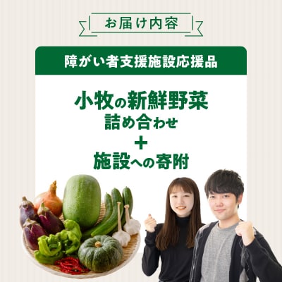 ★障がい者支援施設応援品★ ネオコスモ農園で採れた小牧の野菜詰め合わせ [124N02]