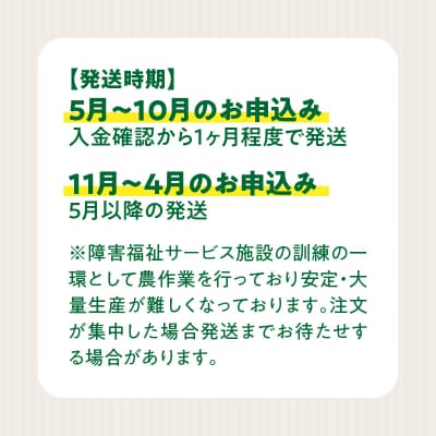 ★障がい者支援施設応援品★ ネオコスモ農園で採れた小牧の野菜詰め合わせ [124N02]
