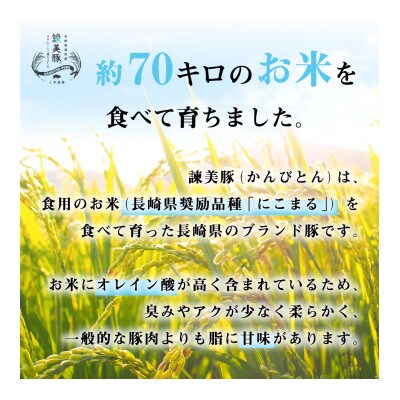 【2022年4月中旬発送】しゃぶ焼肉セット 2.7kg　諫早平野の米で育てた諫美豚(かんびとん)