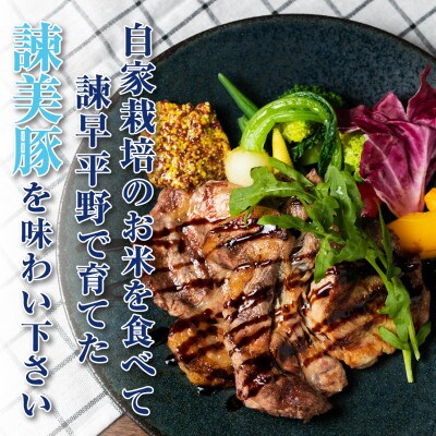 【2023年4月下旬発送】おすすめバラエティセット 3kg　米で育てた諫美豚