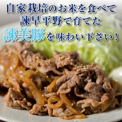 豚肉切り落とし2.1kg!諫早平野の米で育てた諫美豚(かんびとん) | お