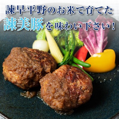 【2024年8月上旬発送】諫早平野の米で育てた諫美豚の切り落しとひき肉のセット　4.2kg