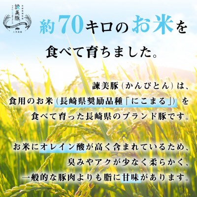 【2024年8月上旬発送】諫早平野の米で育てた諫美豚の切り落しとひき肉のセット　4.2kg