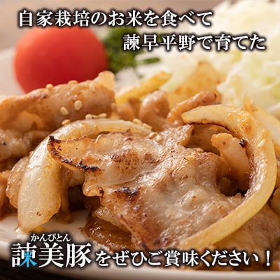 諫早平野の米で育てた諫美豚(かんびとん)の切り落しとひき肉のセット　4.2kg