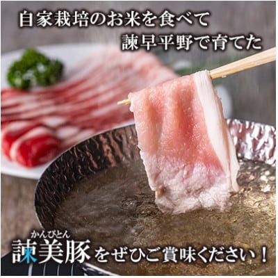 【毎月定期便】しゃぶしゃぶセット 1.2kg　諫早平野の米で育てた諫美豚(かんびとん)全6回