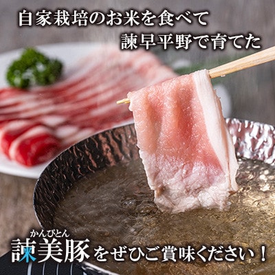 【毎月定期便】しゃぶしゃぶ・焼肉セット 2.7kg　諫早平野の米で育てた諫美豚(かんびとん)全6回