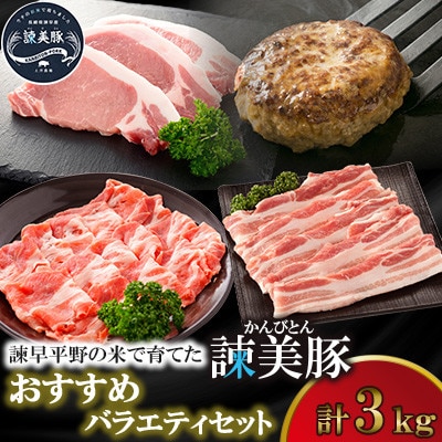 【毎月定期便】おすすめバラエティセット 3kg　諫早平野の米で育てた諫美豚(かんびとん)全3回