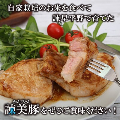 【毎月定期便】おすすめバラエティセット 3kg　諫早平野の米で育てた諫美豚(かんびとん)全12回