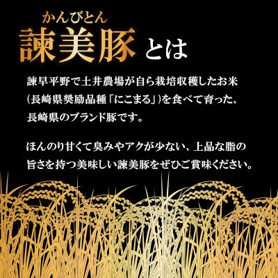 【毎月定期便】ロース600g入り焼肉セット 1.2kg諫早平野の米で育てた諫美豚(かんびとん)全3回