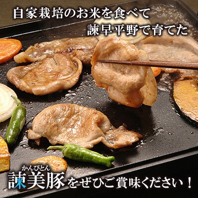 【毎月定期便】ロース600g入り焼肉セット 1.2kg諫早平野の米で育てた諫美豚(かんびとん)全3回