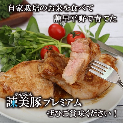 【毎月定期便】諌早平野の米で育てた諫美豚(かんびとん)プレミアムおすすめセット3kg全3回