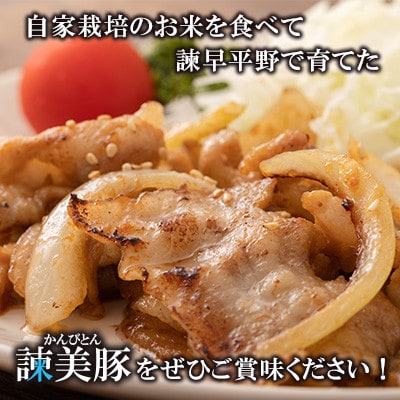 【毎月定期便】諫早平野の米で育てた諫美豚(かんびとん)の切り落しとひき肉のセット計4.2kg全6回