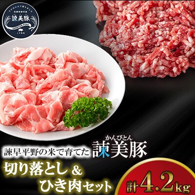 【毎月定期便】諫早平野の米で育てた諫美豚(かんびとん)の切り落しとひき肉のセット計4.2kg全12回