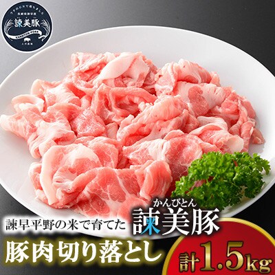 【毎月定期便】豚肉切り落とし1.5kg!諫早平野の米で育てた諫美豚(かんびとん)【土井農場】全12回