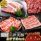 【毎月定期便】黒豚諫美豚(かんびとん)プレミアム100　おすすめセット1.2kg全6回