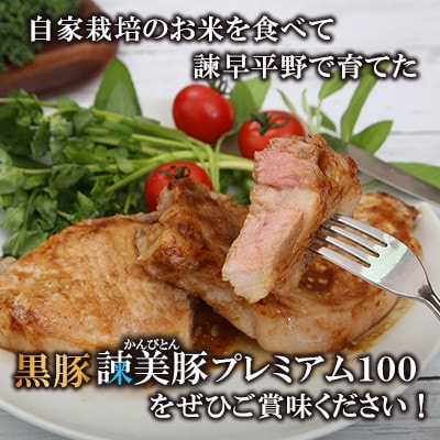 【毎月定期便】黒豚諫美豚(かんびとん)プレミアム100　おすすめセット1.2kg全6回
