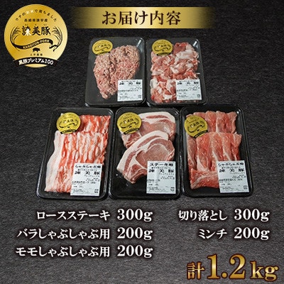 【毎月定期便】黒豚諫美豚(かんびとん)プレミアム100　おすすめセット1.2kg全12回
