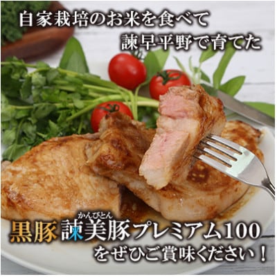 【毎月定期便】黒豚諫美豚(かんびとん)プレミアム100　おすすめセット1.2kg全12回