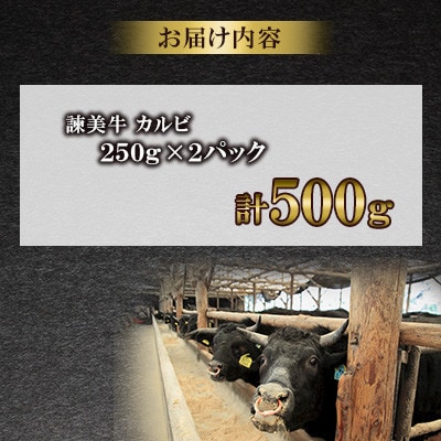 【毎月定期便】長崎県産諫美牛カルビ 500g(250g×2)全3回