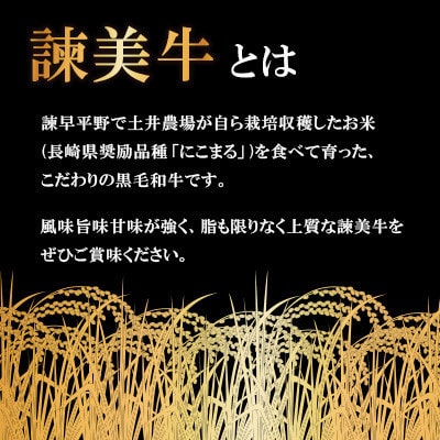 【毎月定期便】長崎県産諫美牛カルビ 500g(250g×2)全12回