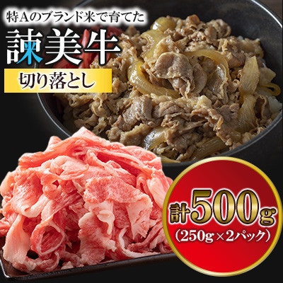 【毎月定期便】長崎県産諫美牛切り落とし 500g(250g×2)全12回