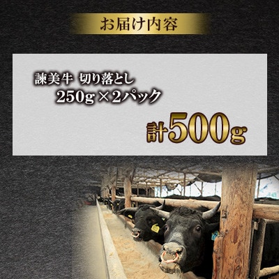 【毎月定期便】長崎県産諫美牛切り落とし 500g(250g×2)全12回
