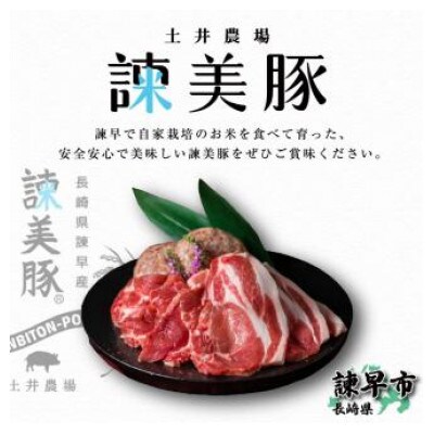 2022年2月発送開始『定期便』諫早平野の米で育てた諫美豚プレミアム100お勧めセット3kg全3回