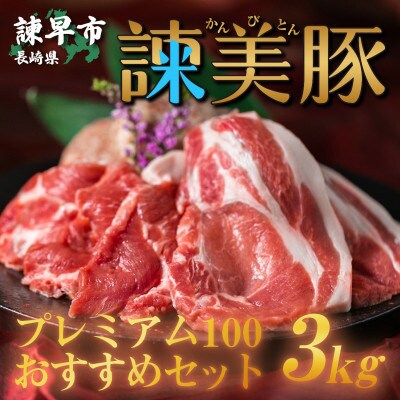 2023年2月発送開始『定期便』諫美豚(かんびとん)プレミアム100おすすめセット3kg　全5回
