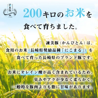 2023年2月発送開始『定期便』諫美豚(かんびとん)プレミアム100おすすめセット3kg　全5回