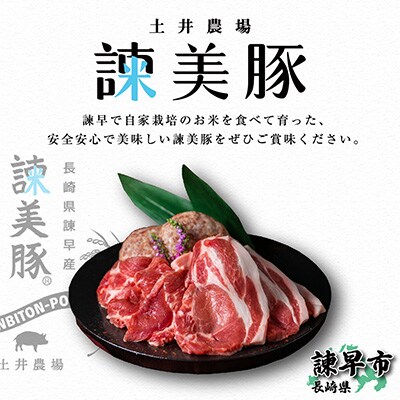 2023年2月発送開始『定期便』諫美豚(かんびとん)プレミアム100おすすめセット3kg　全5回