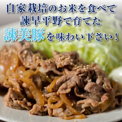 2023年5月発送開始『定期便』諫美豚(かんびとん) 豚肉切り落とし2.1kg!全4回