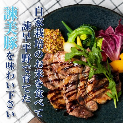 2023年4月発送開始『定期便』諫美豚(かんびとん) 　おすすめバラエティセット 3kg　全5回
