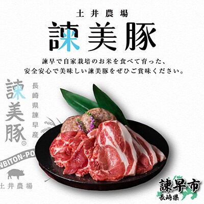 2023年1月発送開始『定期便』諫美豚(かんびとん)プレミアム100おすすめセット3kg全10回
