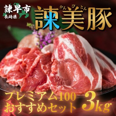 2023年4月発送開始『定期便』諫美豚(かんびとん)プレミアム100おすすめセット3kg全9回