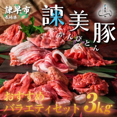 2023年7月発送開始『定期便』諫美豚(かんびとん) おすすめバラエティセット 3kg全10回