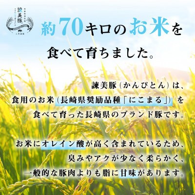 2023年7月発送開始『定期便』諫美豚(かんびとん) おすすめバラエティセット 3kg全10回