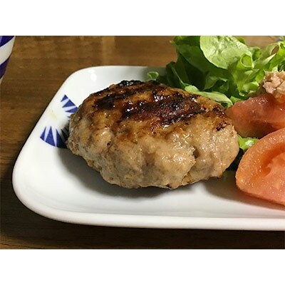 「2020年8月中旬発送」諫早平野の米で育てた諫美豚(かんびとん)ハンバーグ2.1kg