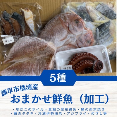 諫早市橘湾産 おまかせ鮮魚(加工)セット【5種入り】