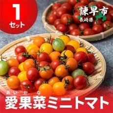 愛果菜ミニトマト